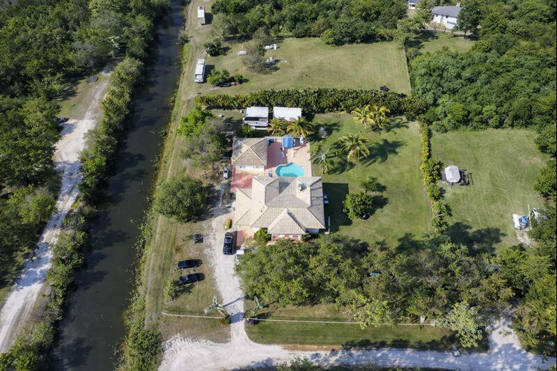 Sprawling 1.6 acre green estate lawn surrounded by mature coconut palm trees with bright morning sunlight flaring through the fronds, showing the luxury property exterior. Caption: